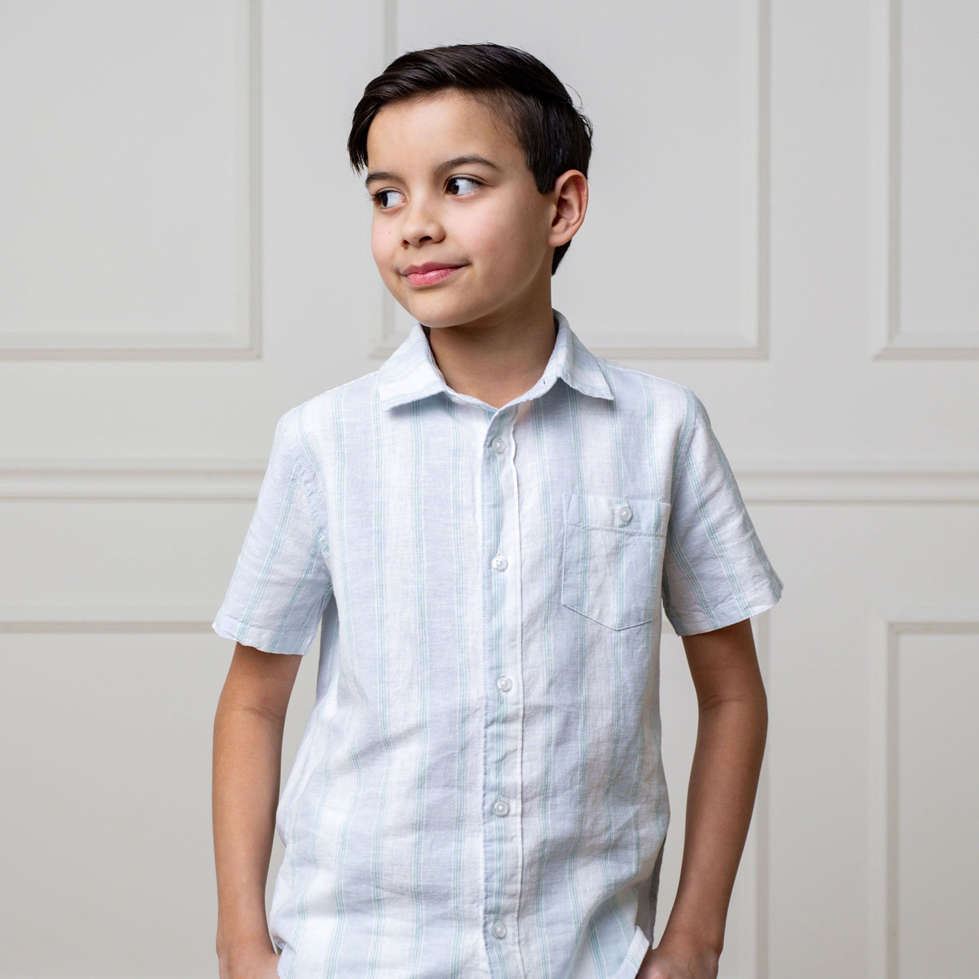 Linen Short Sleeve Button Down Shirt