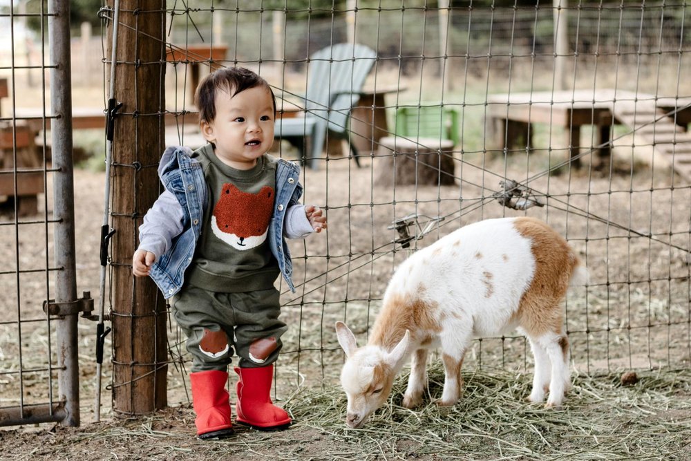 Ozznek Kids' Barefoot Shoes Set- Zenith Shoe Bundle